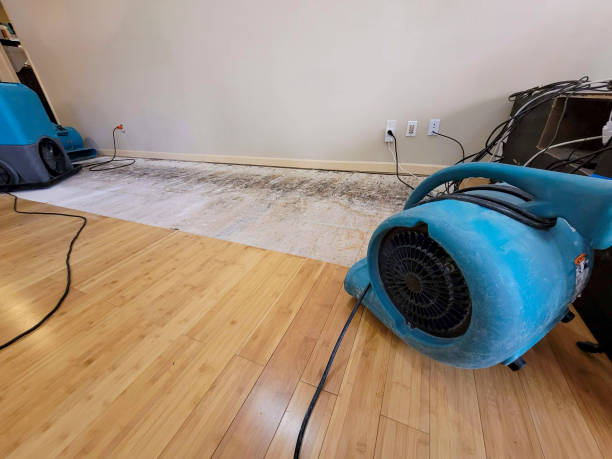 Professional Water Removal technician working in Ralph, AL